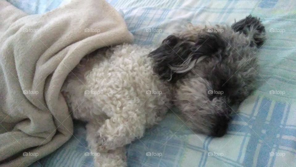 all that is good in my world ❤️