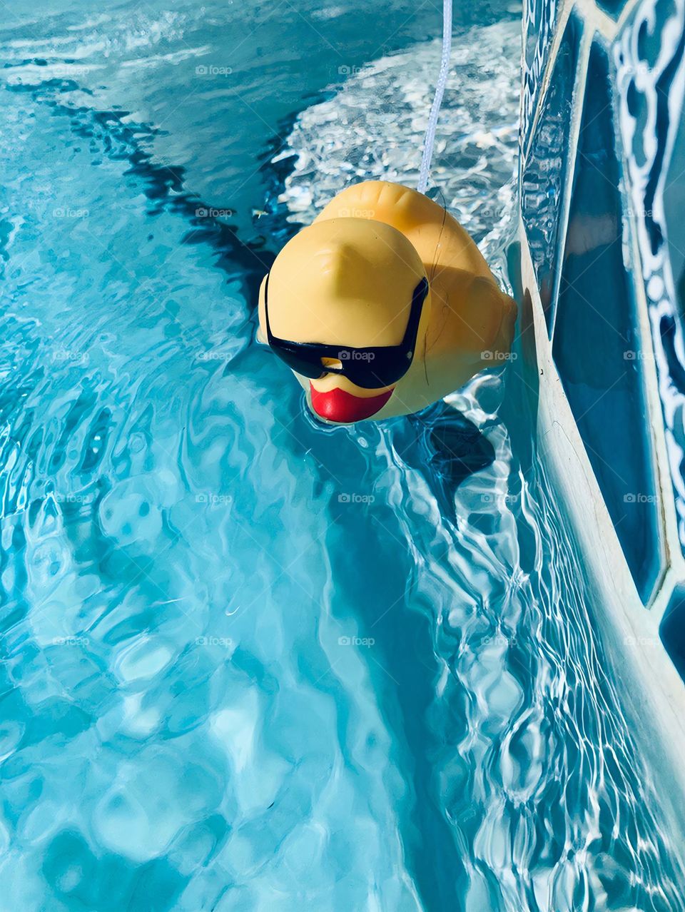 Float Yellow Duck With Sunglasses Toy Thermometer In The Pool Under The Sunshine In Clear Water.