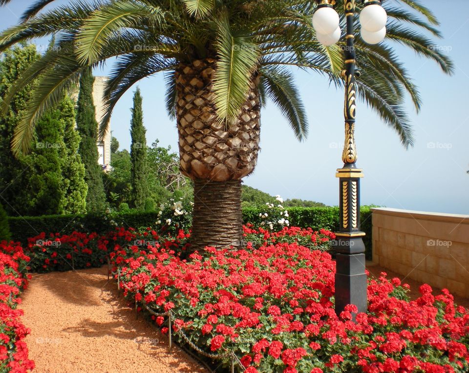 Bahá'í Gardens in Haifa