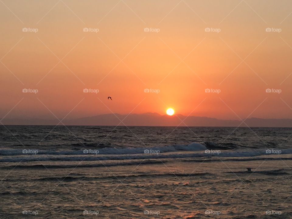 Sunrise & early bird 