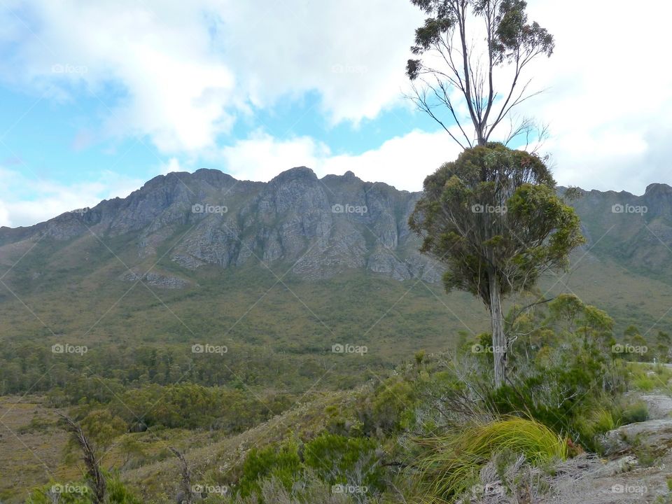 Beautiful tasmania 