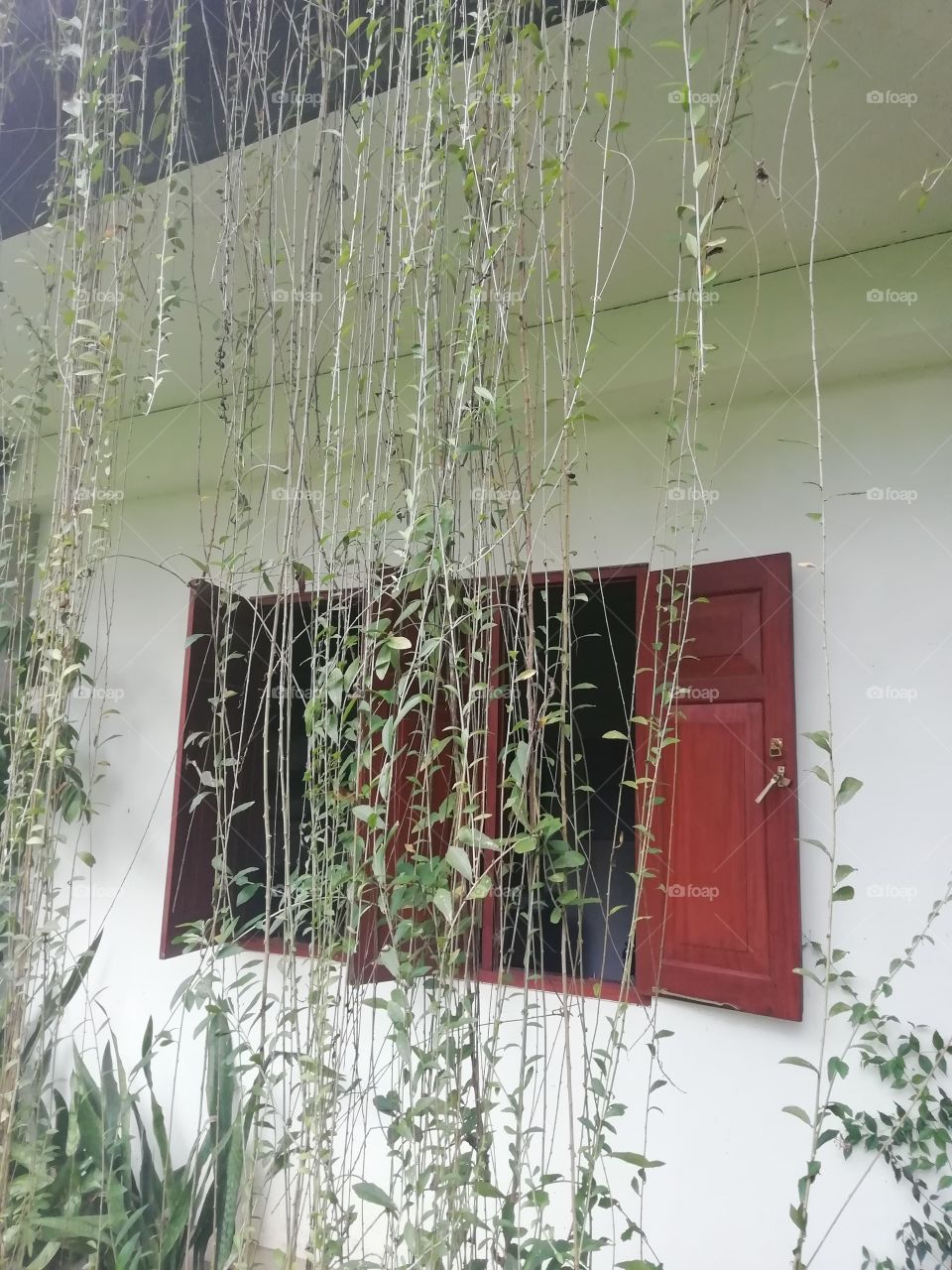 A beautiful hideout embraced by nature