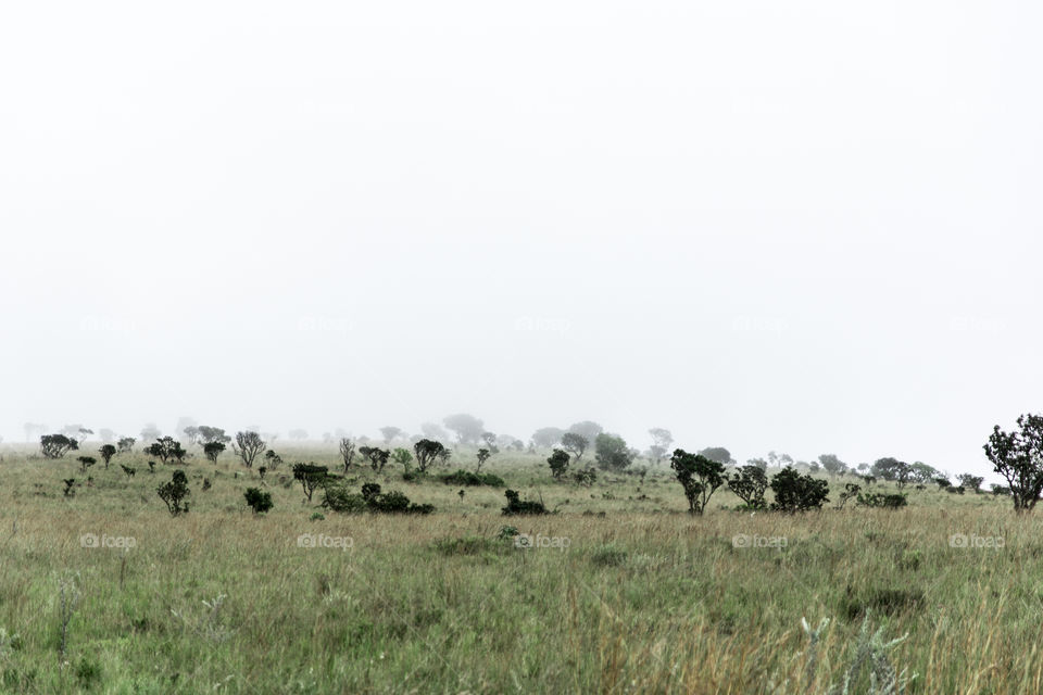 Foggy weather at blade river canyon in South Africa 