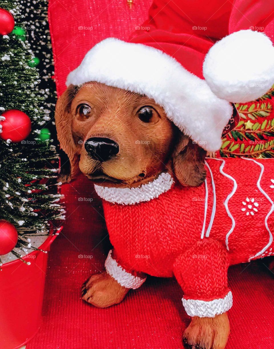 Toy dog in red holiday costume against a red background