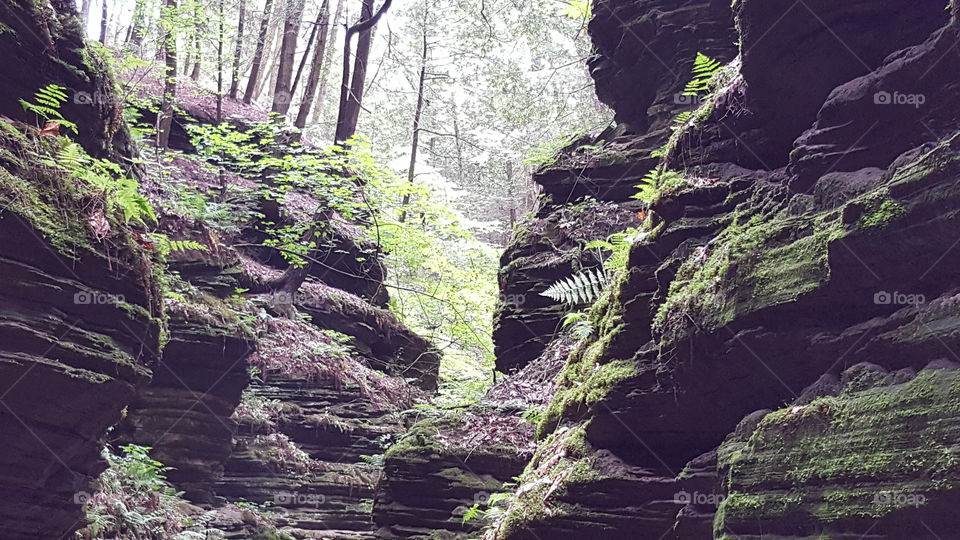 Witches Gulch rock formations in Wisconsin Dells