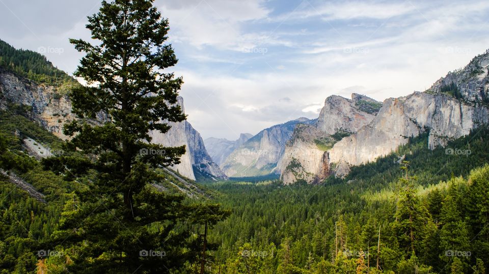 El Capitan in Yosemite Valley