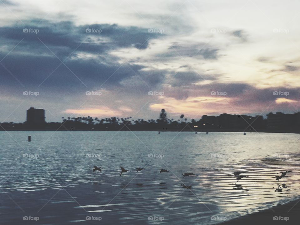 in flight; sail bay, san diego 