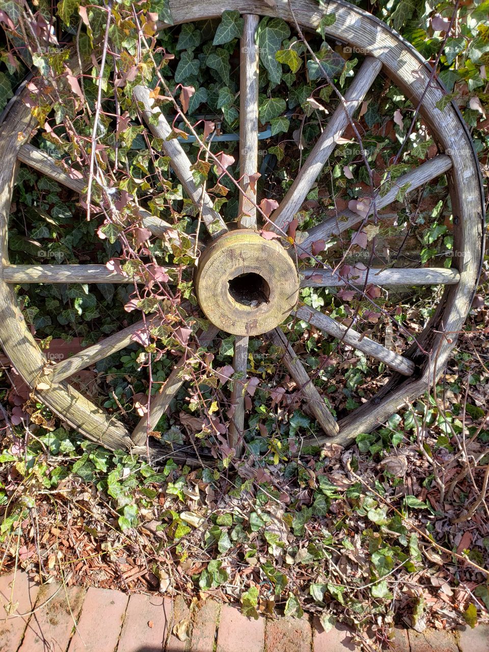 Vintage wagon wheel