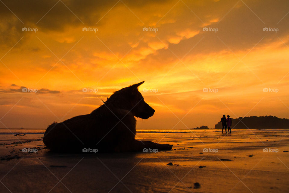 Sunset, Beach, Water, Dawn, Sea