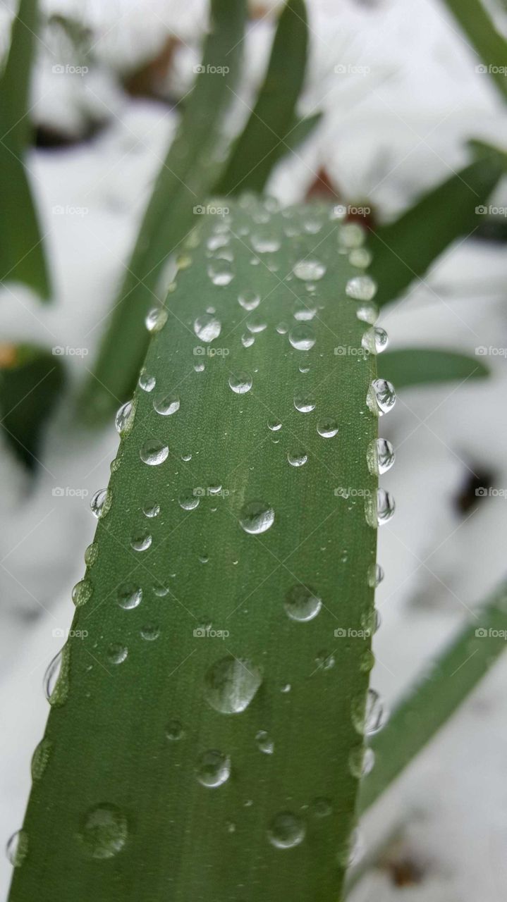 Cold Droplets