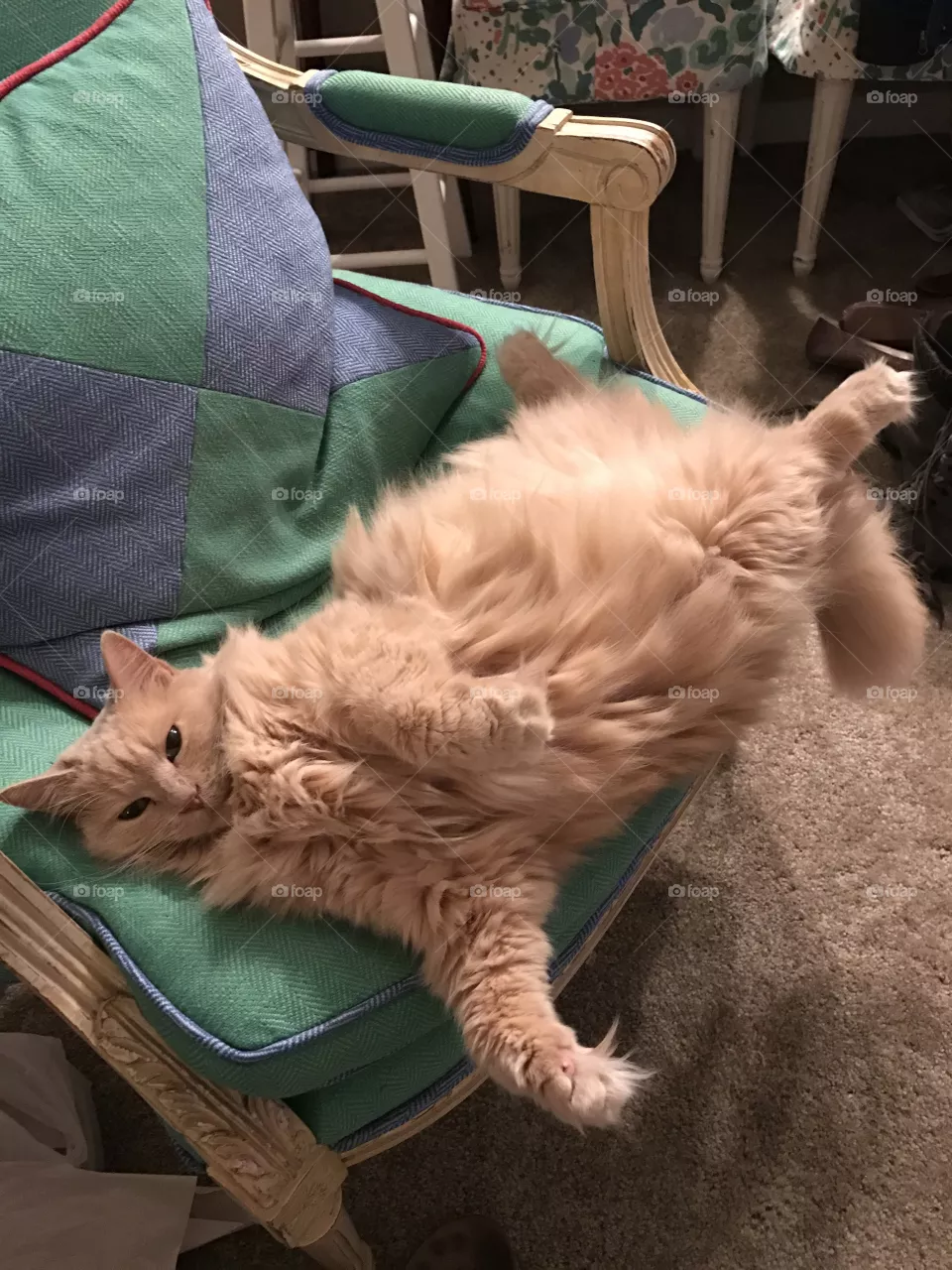 Fluff