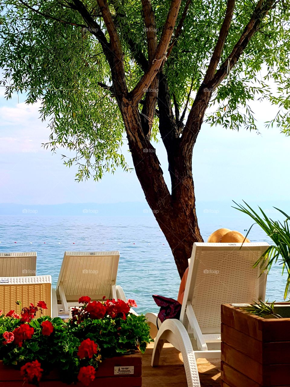 Beautiful Day at the beach