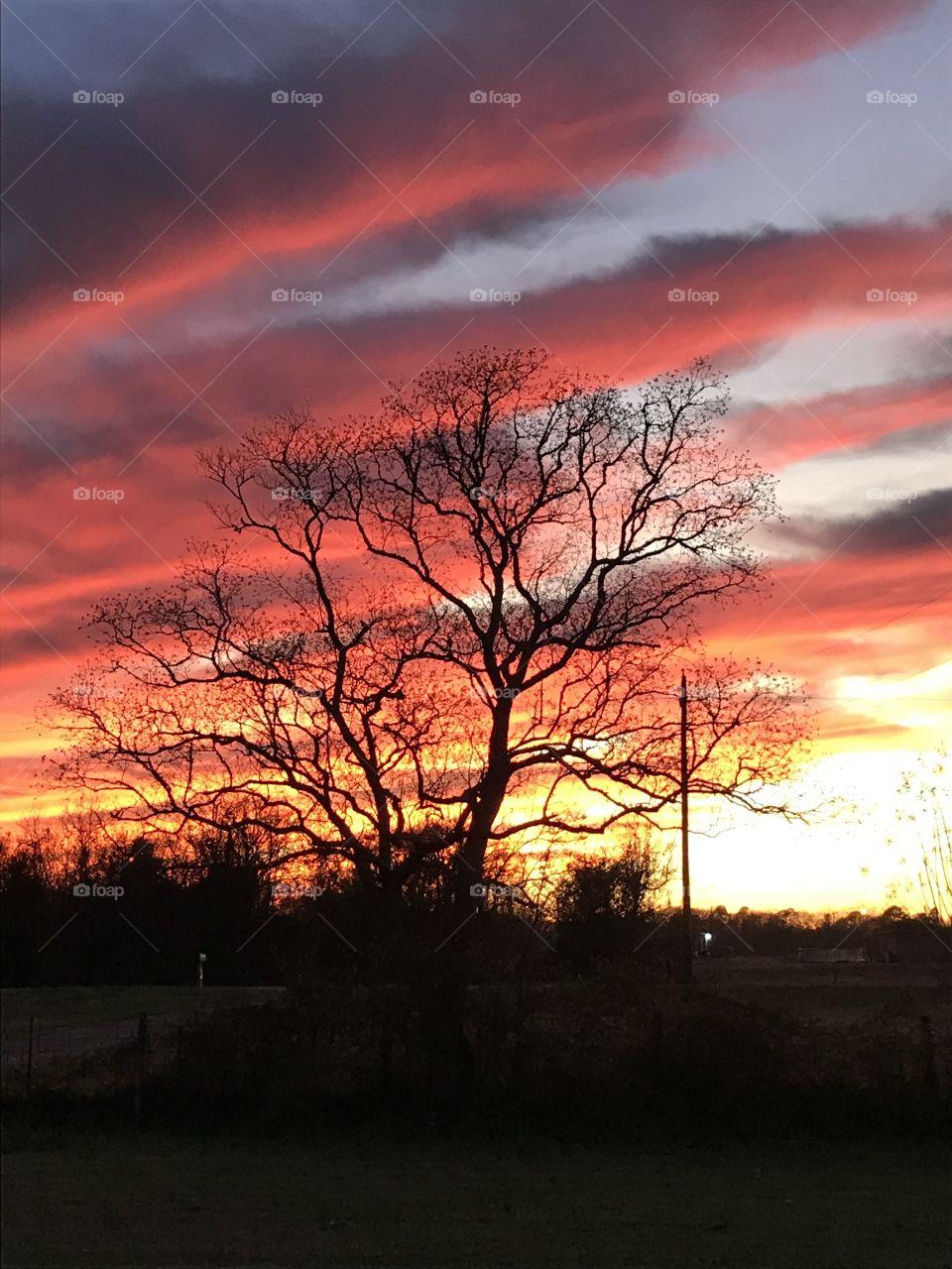 Sunrise Am This Morning, OMG What A Beautiful Sunrise. Wild Colors with Fingerlings. 