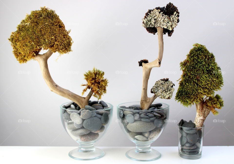 Three homemade trees in glasses. Homemade decoration for home.