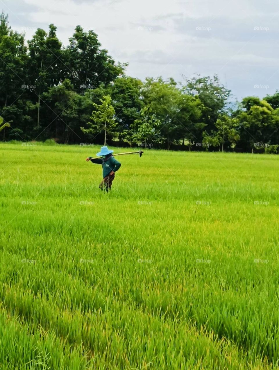 What’s that doing here??