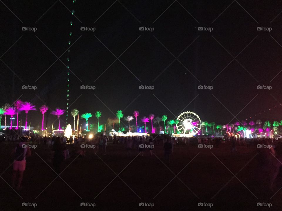 Electric Nights 2. Electric Nights - Coachella 2015