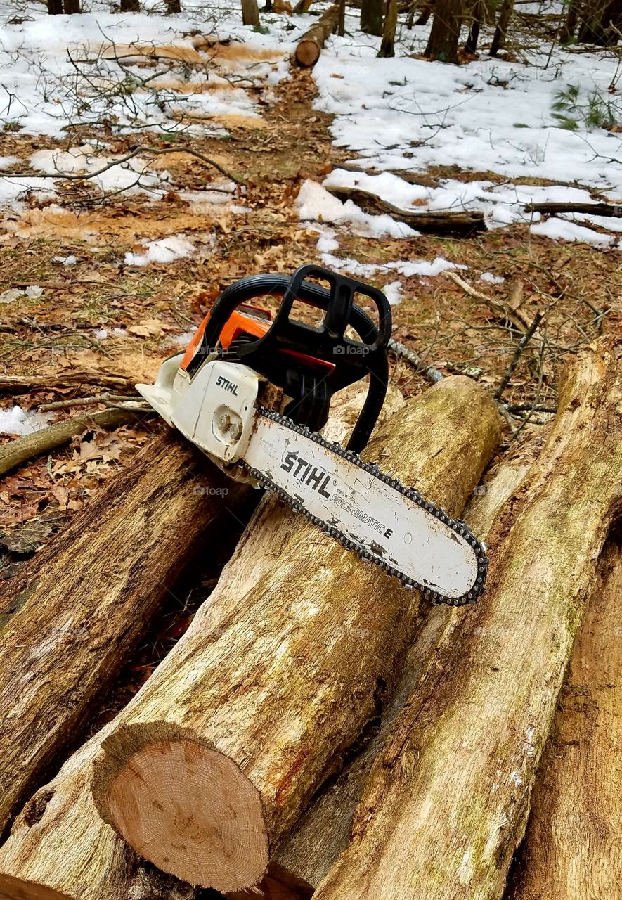 Gas Stihl chainsaw displayed on logs after cutting wood from fallen tree in the forest in background.