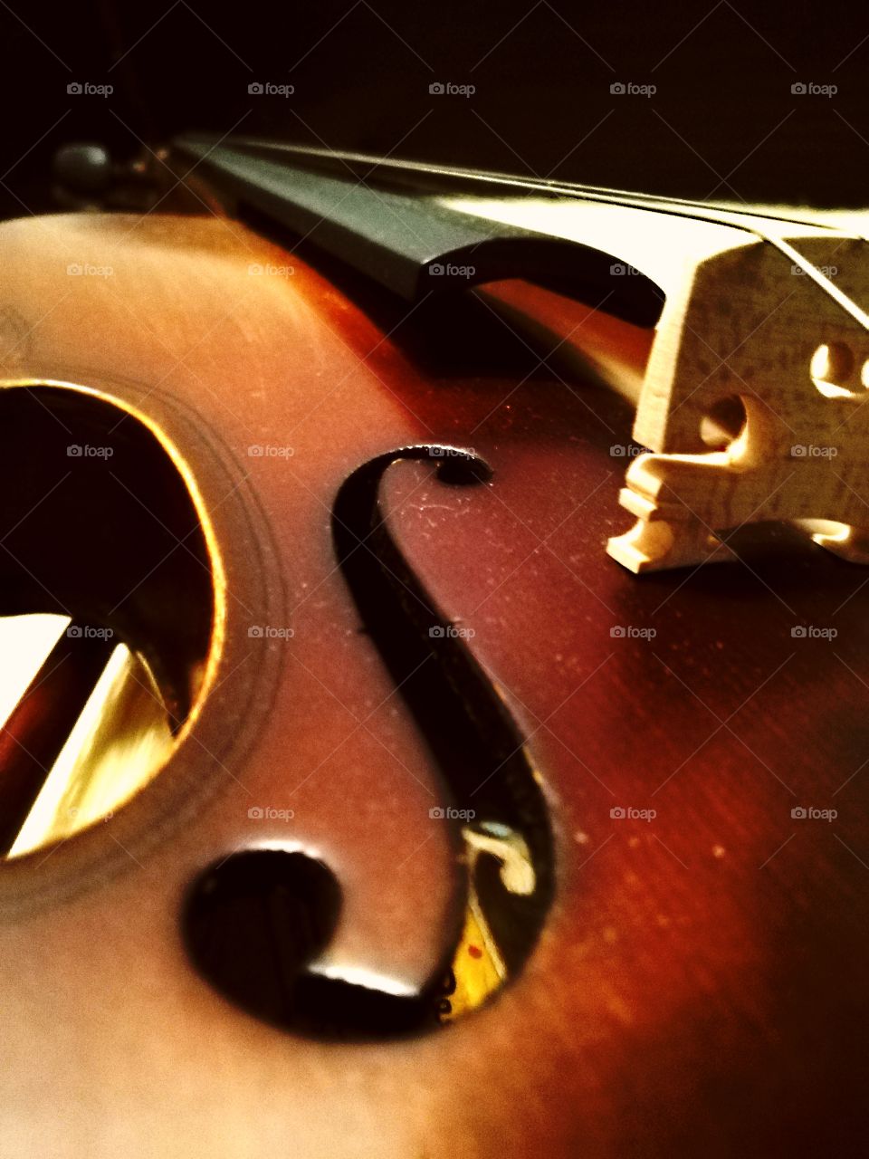 Music Violin Closeup