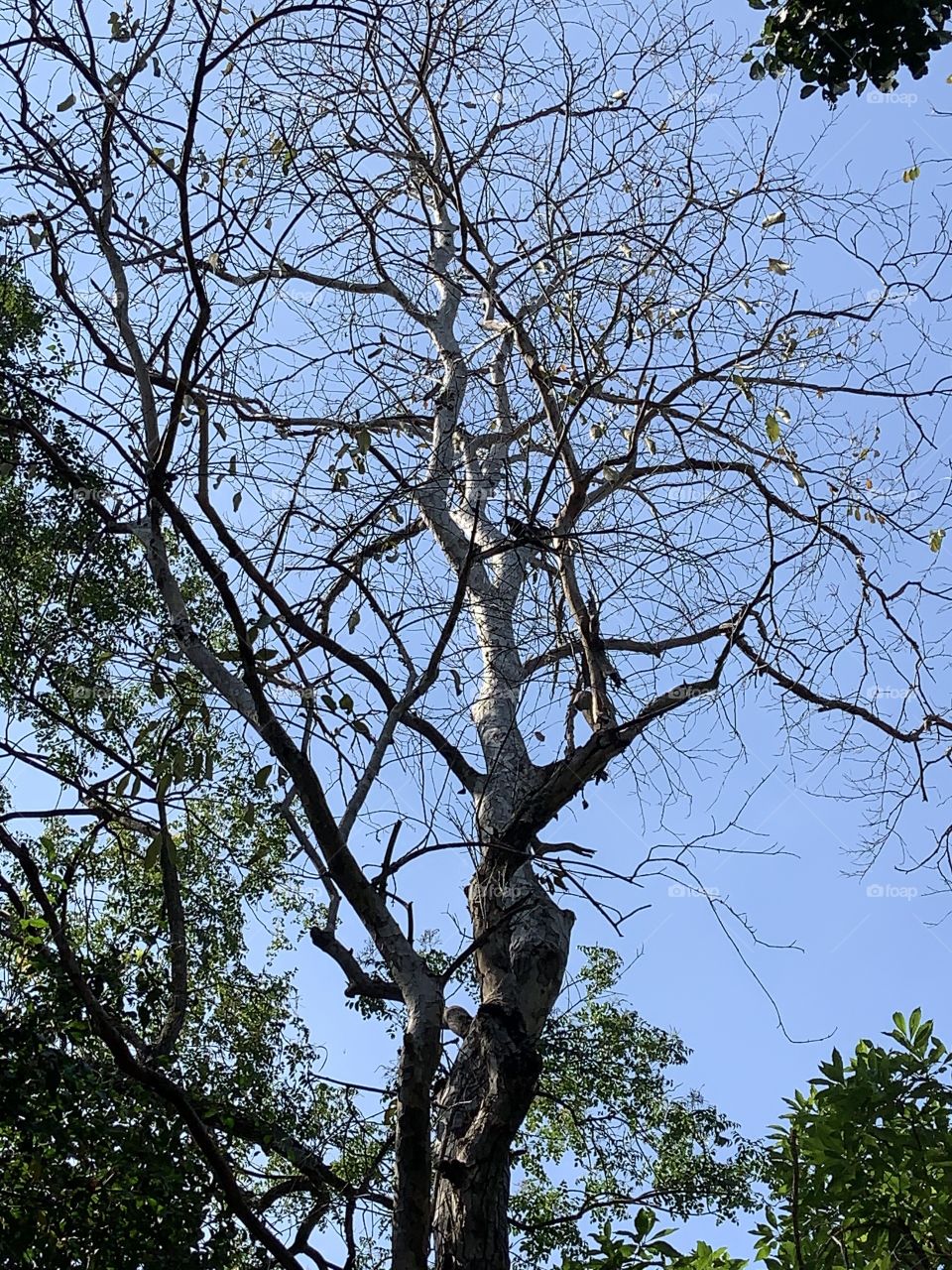 Best of 2021 : nature ( Countryside , Thailand)