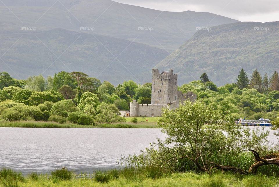 Castle and woods