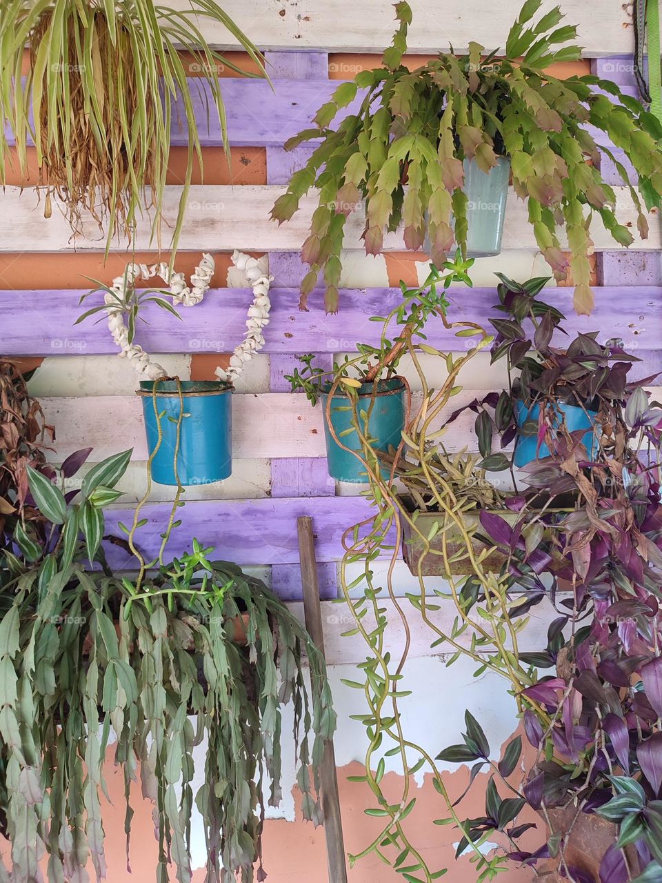 Wall art with pot plants