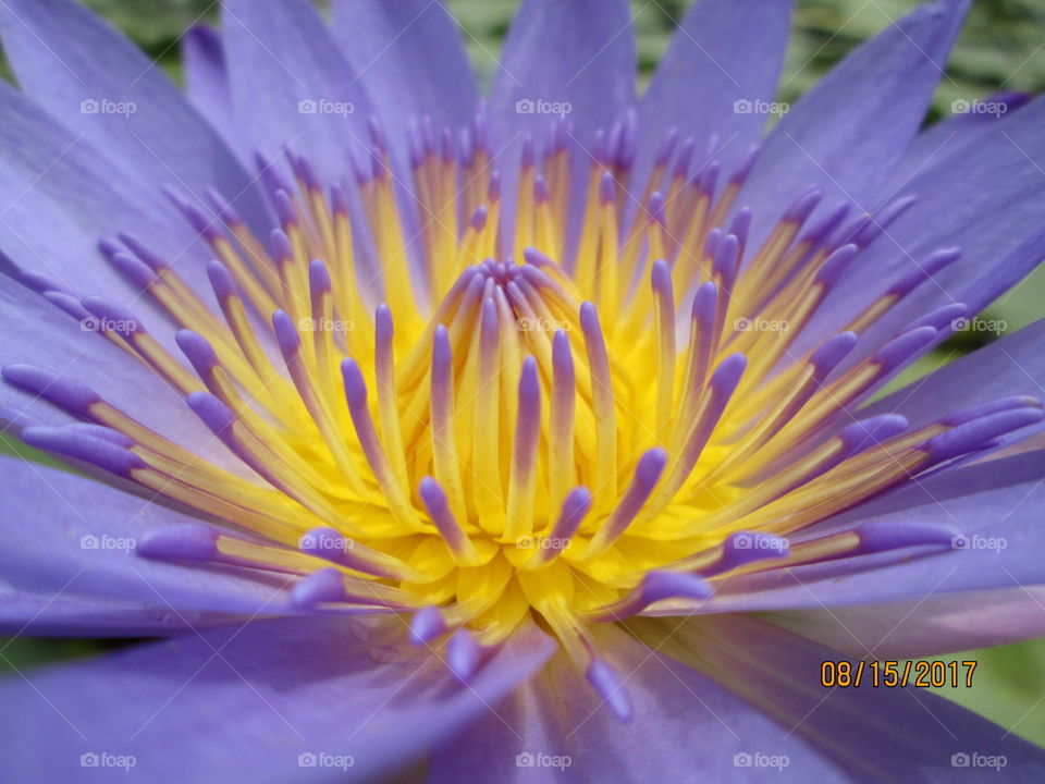 So  beautiful  !!!!!!!!