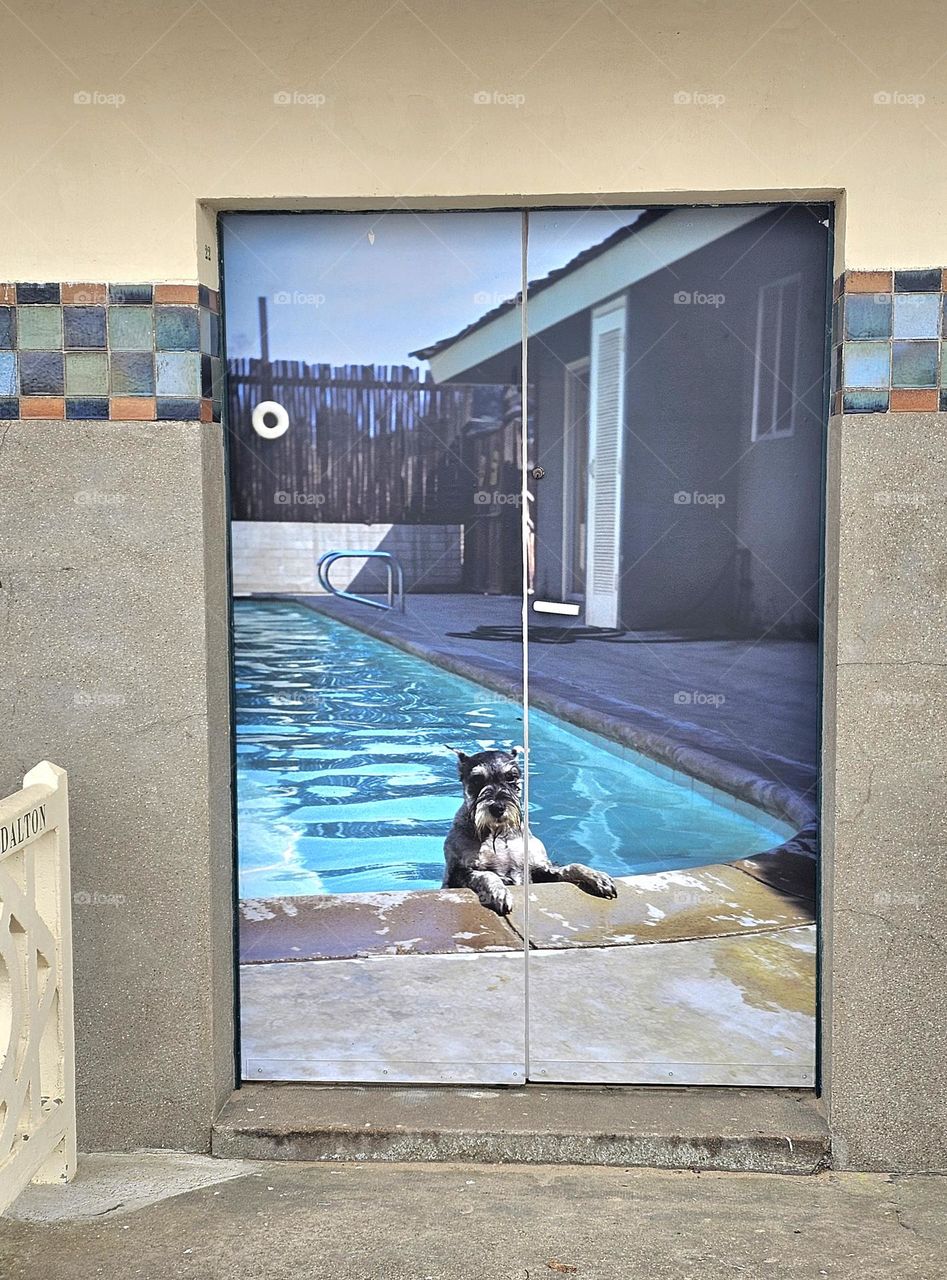 les planches de Deauville