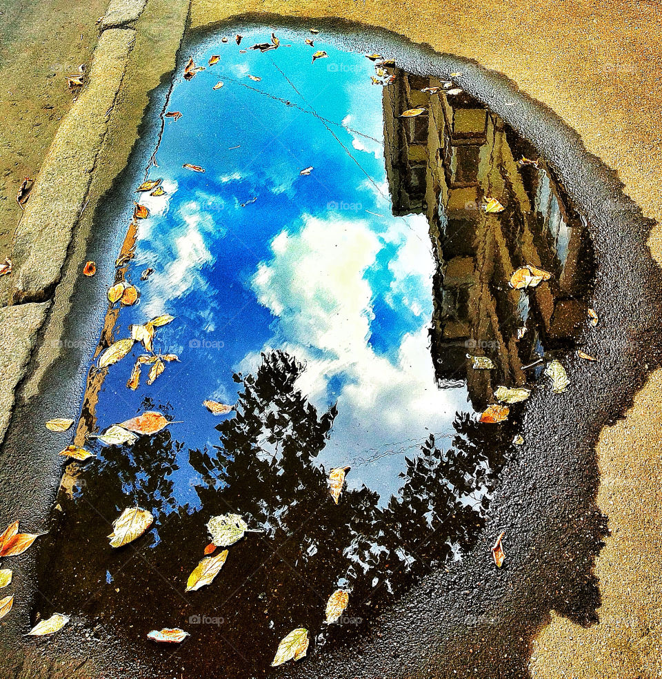 Building reflection on puddle