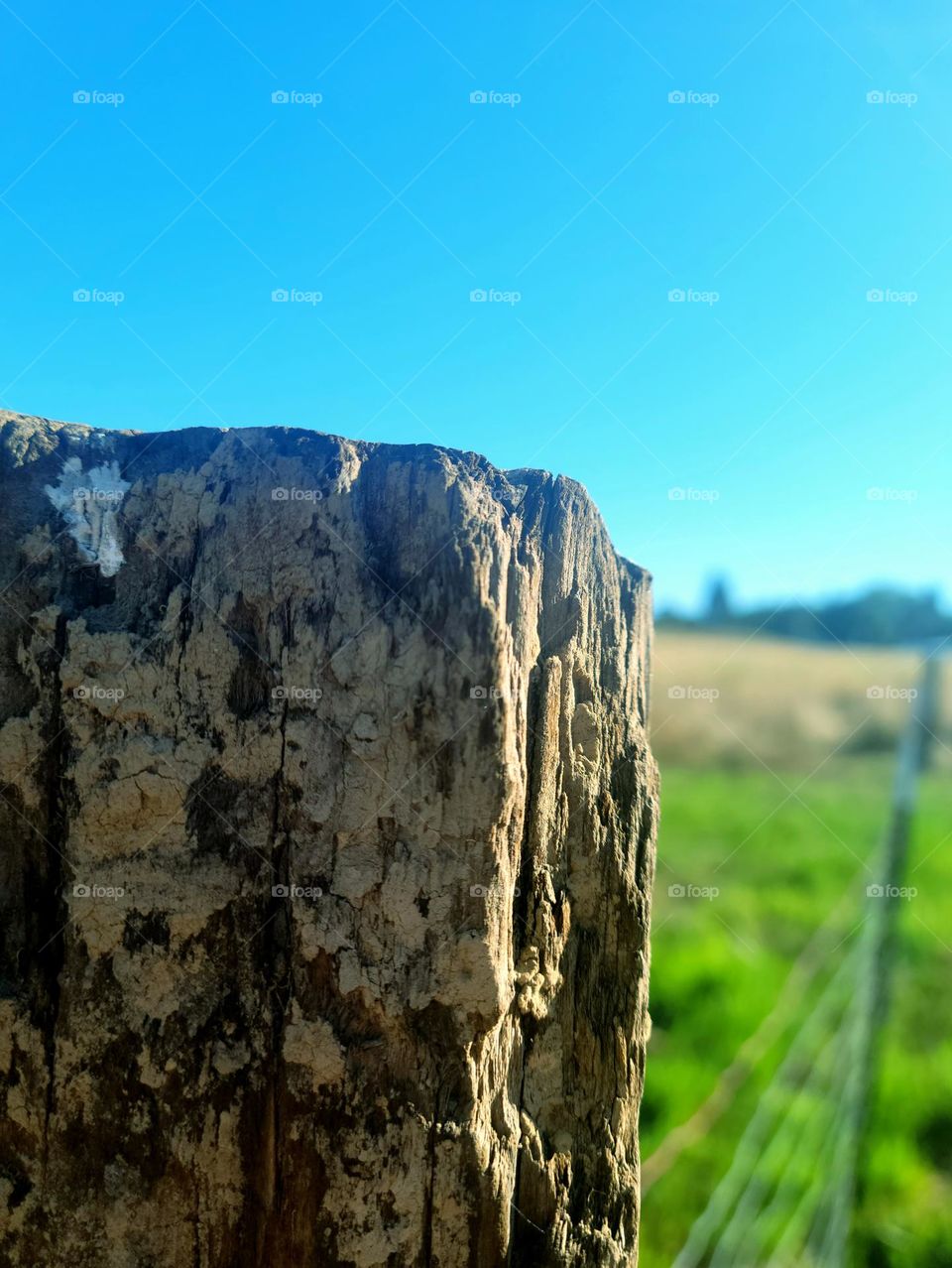 fence post for garden and field