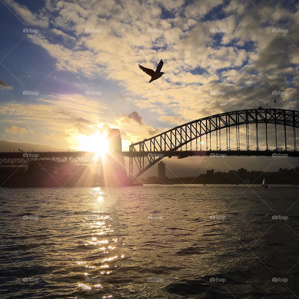 Sunset in Sydney 