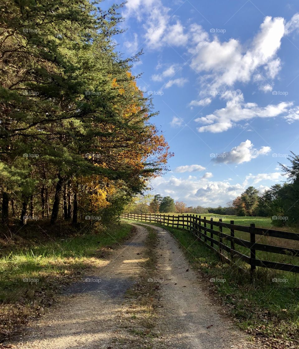 Path along pasture fence on idyllic autumn day at Bear Creek Wildlife Preserve 