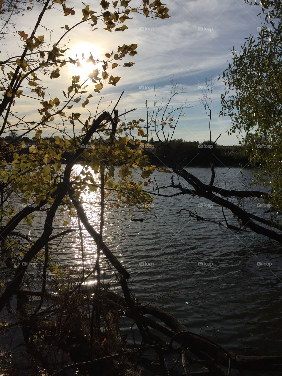 Autumn carries more gold in its pocket than all the other seasons.