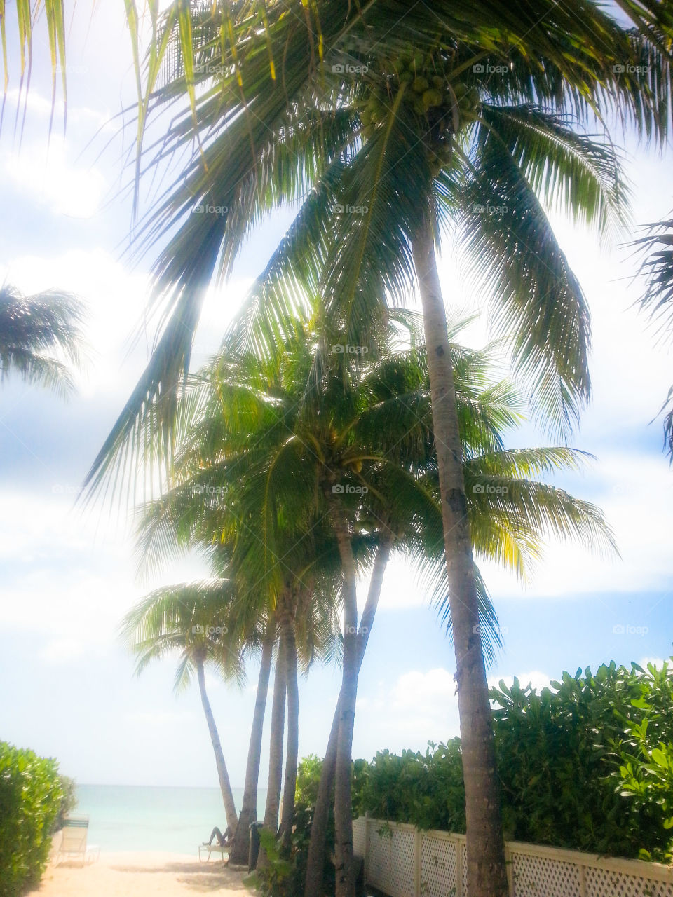 Down the alley at Seven Mile beach