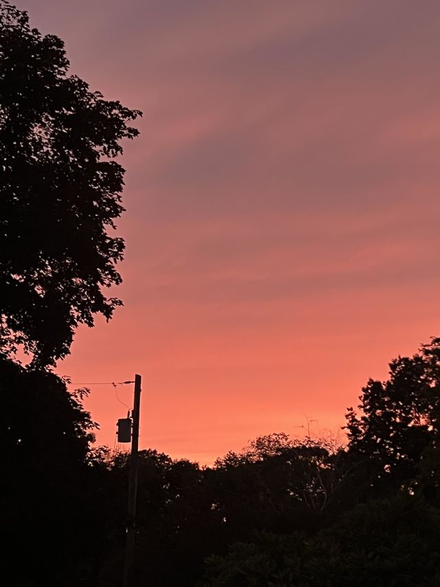 Red sky 