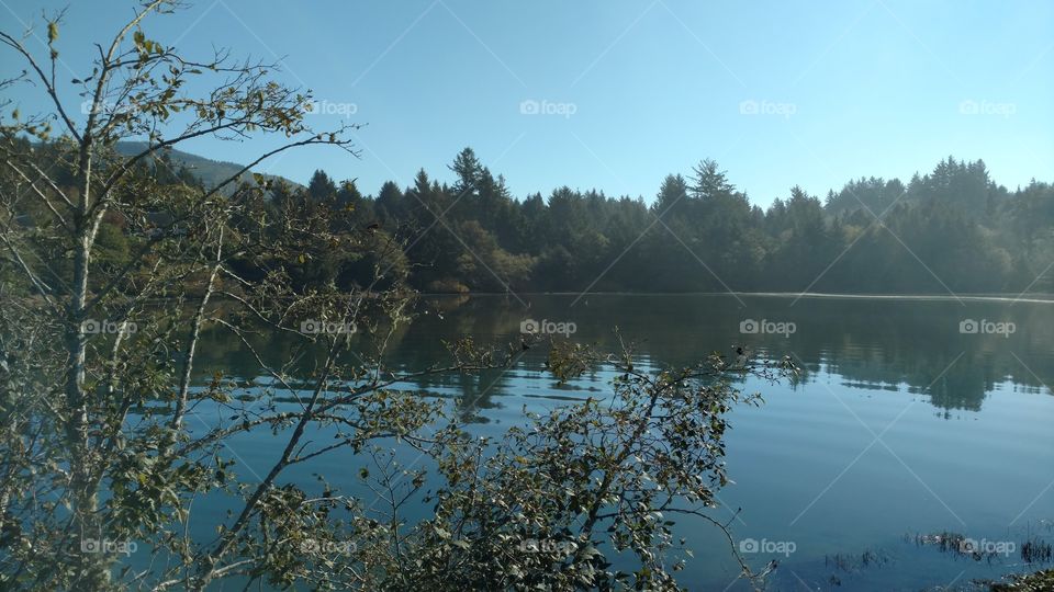 Landscape, Tree, Water, Lake, Reflection