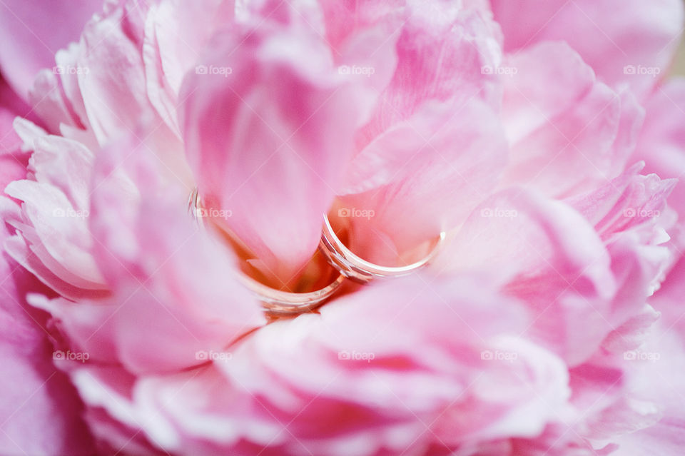 Wedding ring in flower