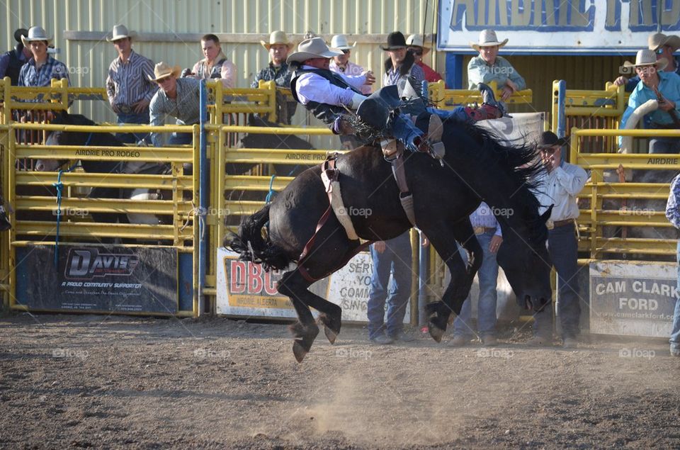 Rodeo