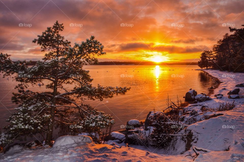 View of a lake during sunset