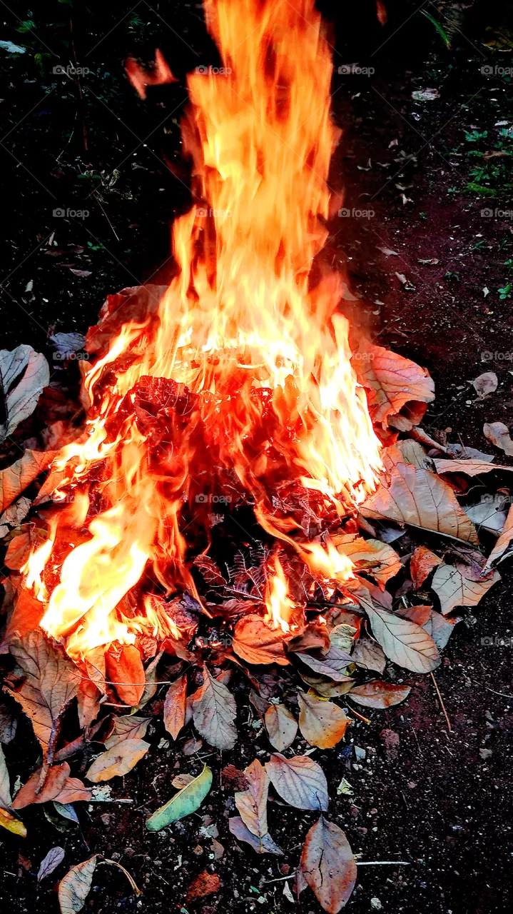 fire