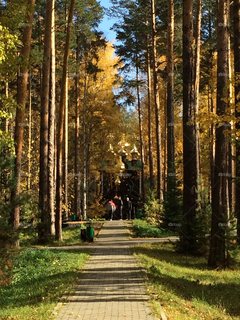 Autumn at the monastery