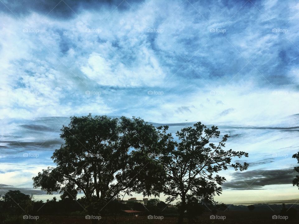 🌅07h -Desperta, #Jundiaí!
Passou a #chuva da manhã?
Ótima #TerçaFeira a todos.
🍃
#sol
#sun
#sky
#céu
#photo
#nature
#manhã
#morning
#alvorada
#natureza
#horizonte
#fotografia
#paisagem
#inspiração
#amanhecer
#mobgraphy
#FotografeiEmJundiaí