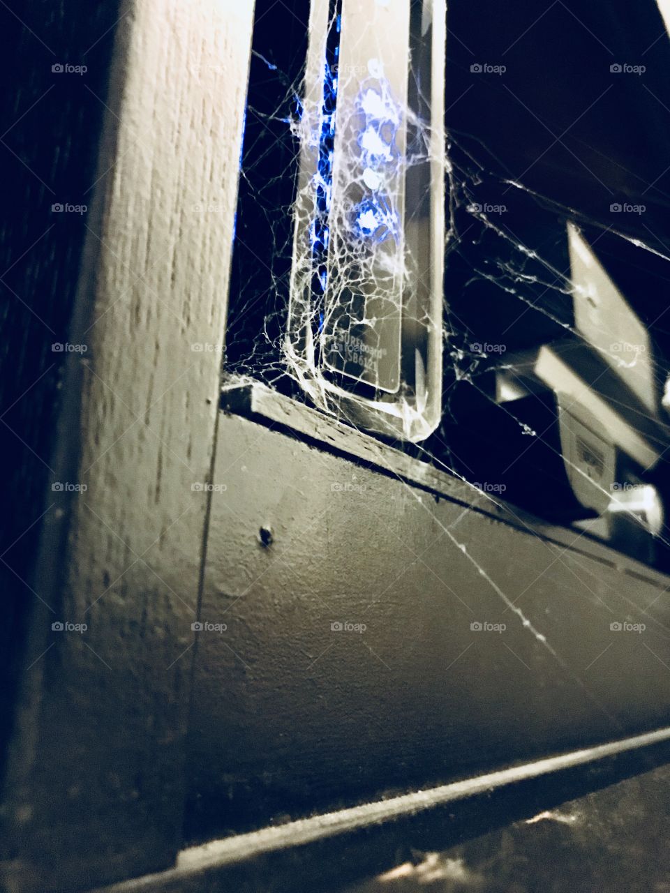 Up close and personal 