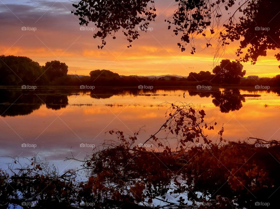 Sunrise at an Arizona Lake