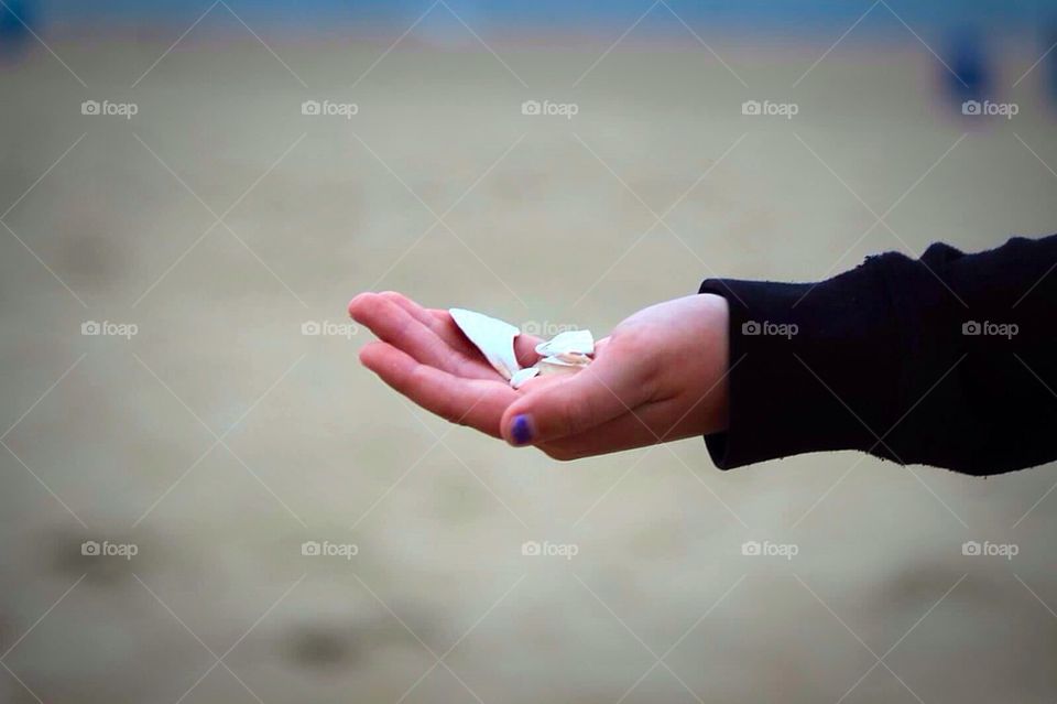 Shells in Hand