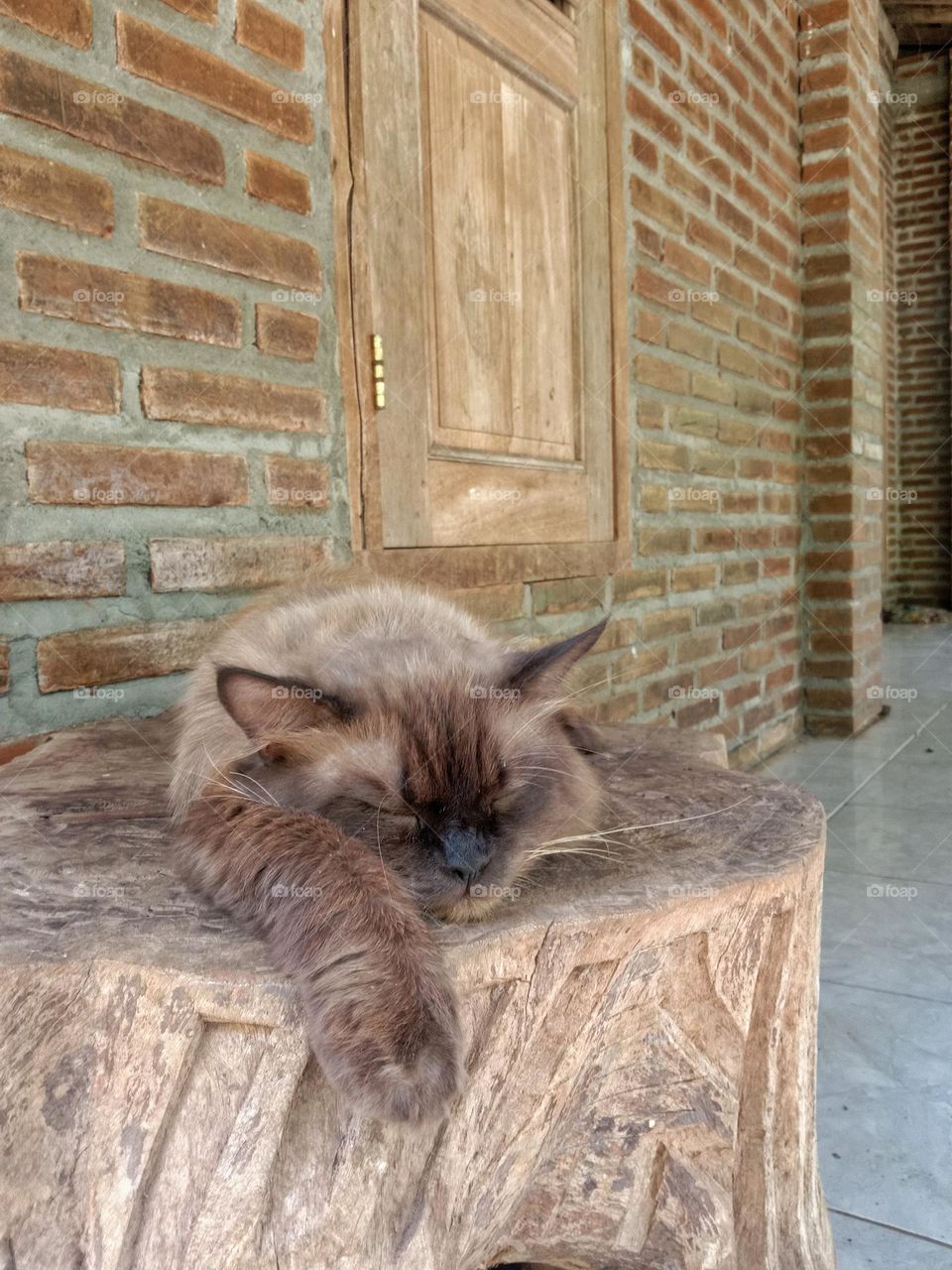 A cat sleeping on a wooden bench.