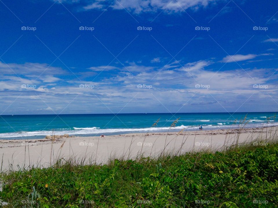 The Beach - Palm Beach, Florida 