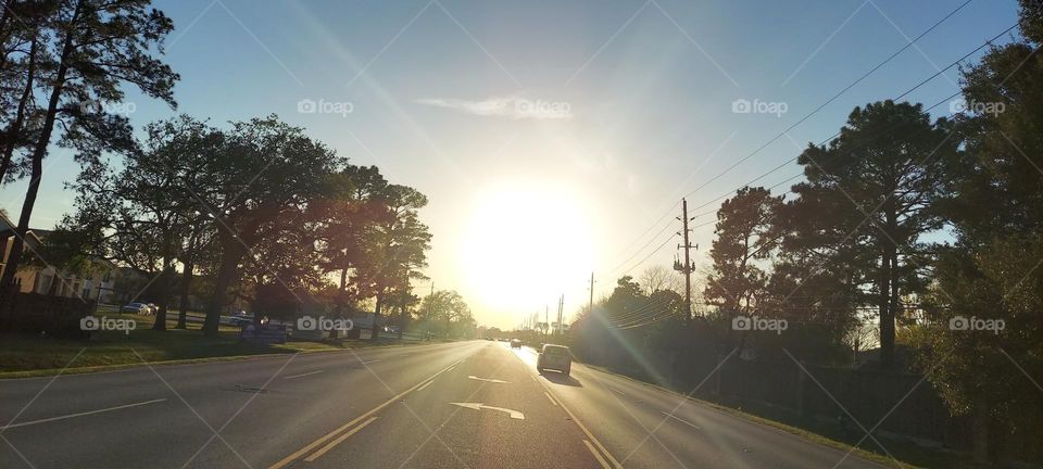 Spring 🌞 ☀️ Sunshine!