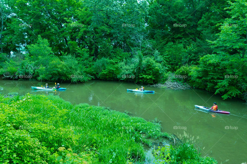 Starved Rock State Park Journey. Watching others kayak through the rivers.