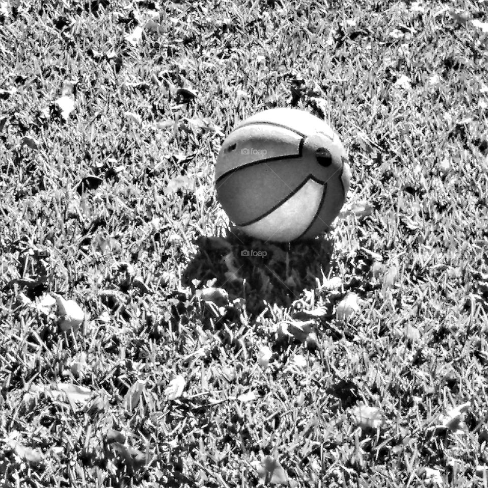 Basketball On The Lawn