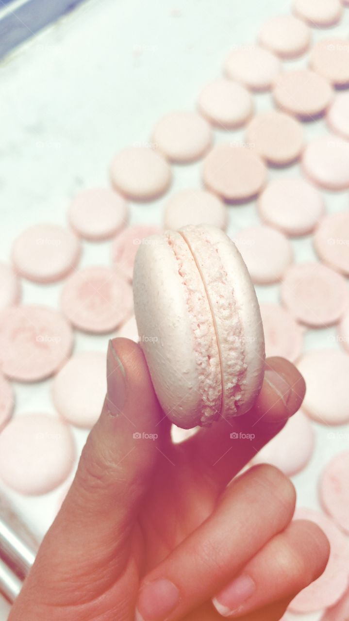 perfect pink french macarons fresh from the oven 